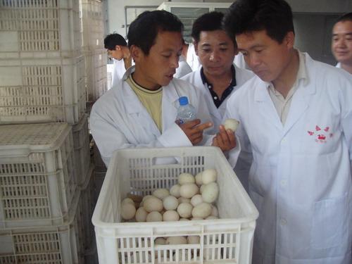 组织学员到沛县森垒鸭业有限公司见习
