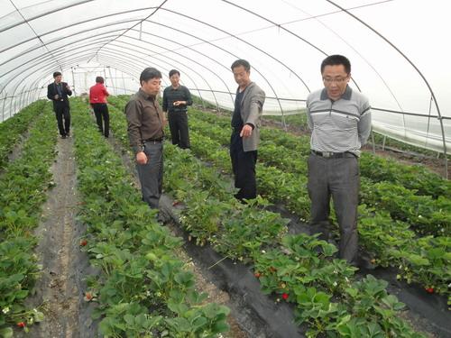 我院组织专家在邳州市跟踪指导种养殖大户