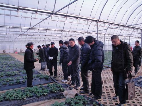 参训学员参观徐州市设施农业