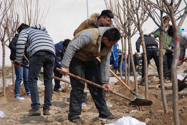 绿化现场 绿化现场