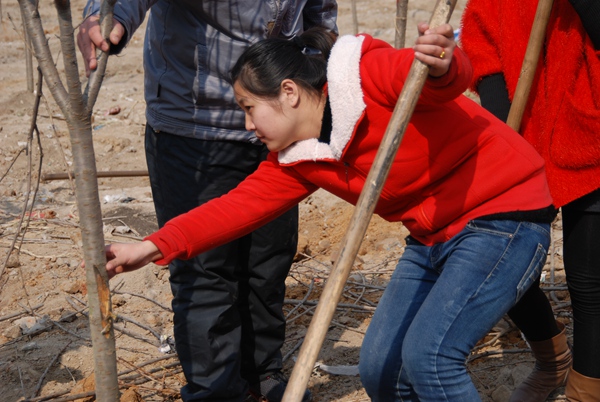 绿化现场 绿化现场