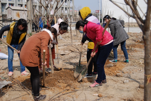 绿化现场 绿化现场