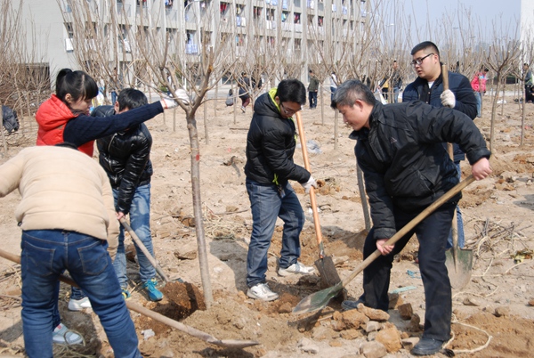 绿化现场 绿化现场