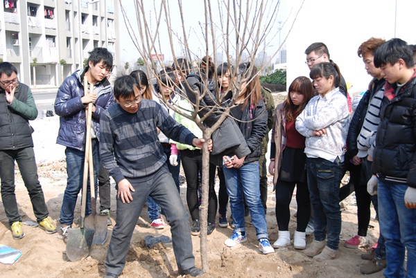 绿化现场 绿化现场