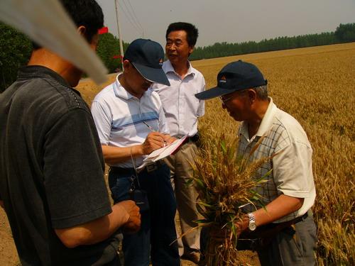 我院专家上门跟踪指导种植大户