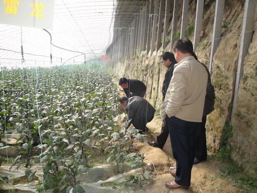 我院组织专家在邳州市跟踪指导种养殖大户