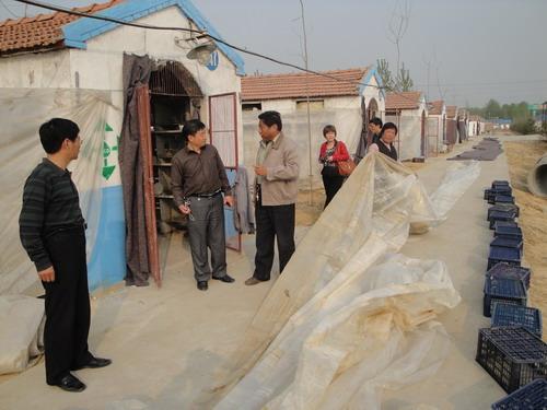 我院组织专家在邳州市跟踪指导种养殖大户