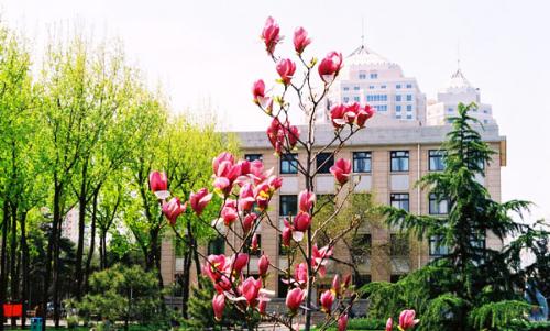 中国农业大学国际会议中心