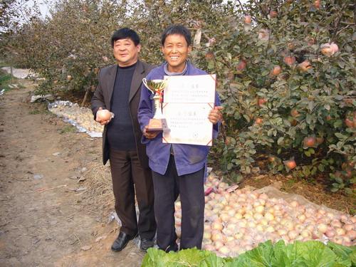 参训学员丰县师寨镇果品种植大户史为华荣获丰县“苹果王”称号