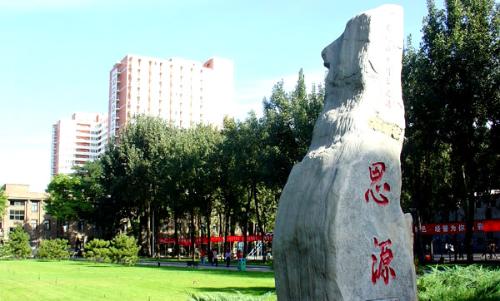 中国农业大学西区校园一角