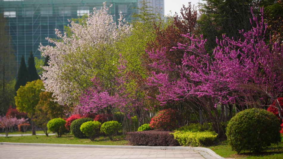 校园时光机|3月特辑